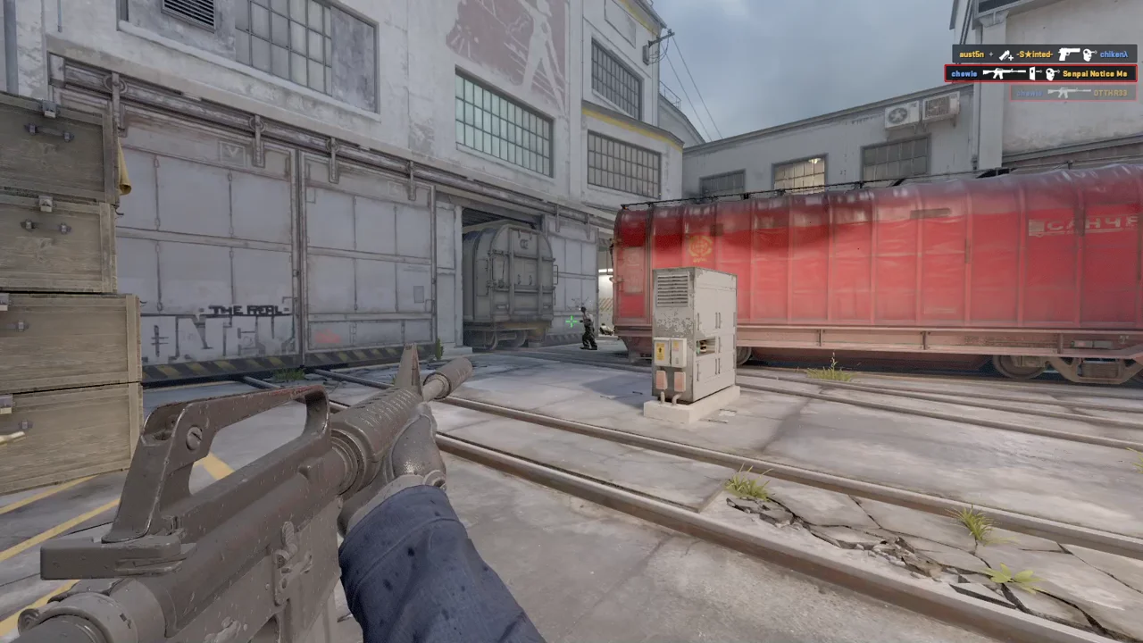 highlight